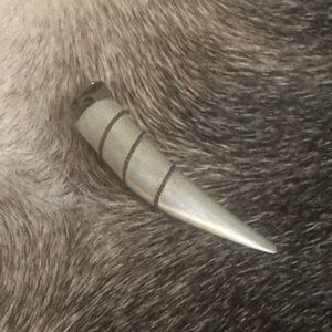 Antique Mother of Pearl cornicello pendant